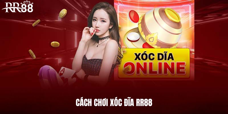 Cách chơi xóc đĩa tại nhà cái RR88