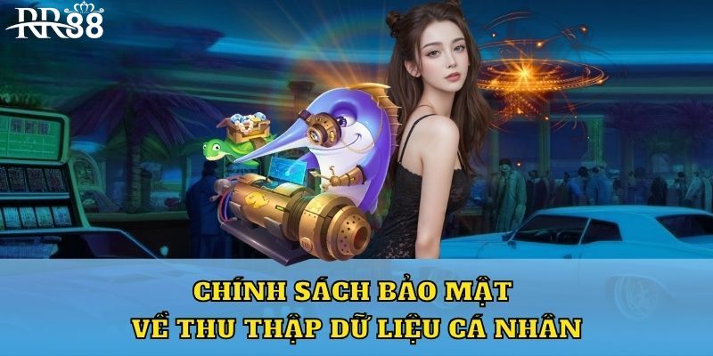 Chính sách bảo mật RR88 thu thập và sử dụng dữ liệu cá nhân