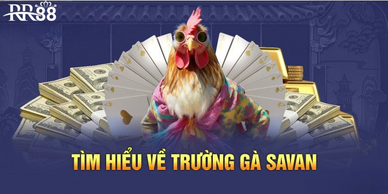 Thông tin chung về trường gà Savan