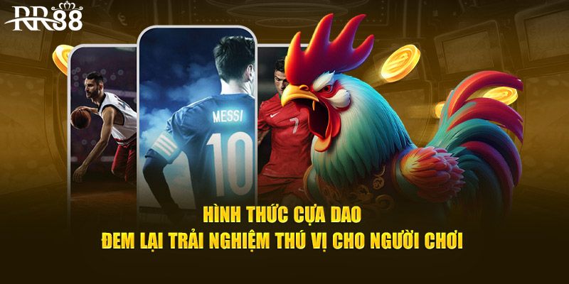 Tại sao đá gà cựa dao lại có sức hút lớn đến vậy?